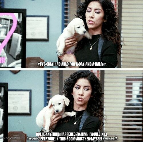 I've only had Arlo for a day and a half preview