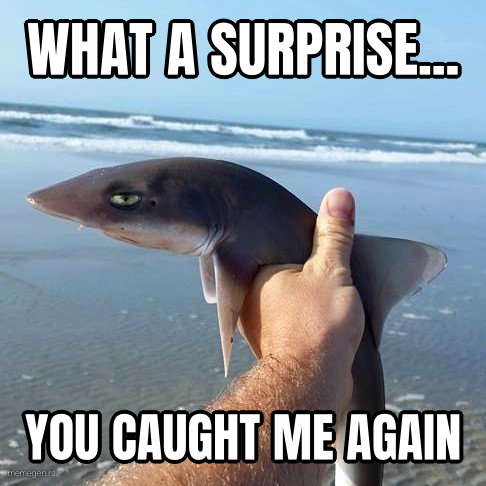 This is Bull, Shark preview