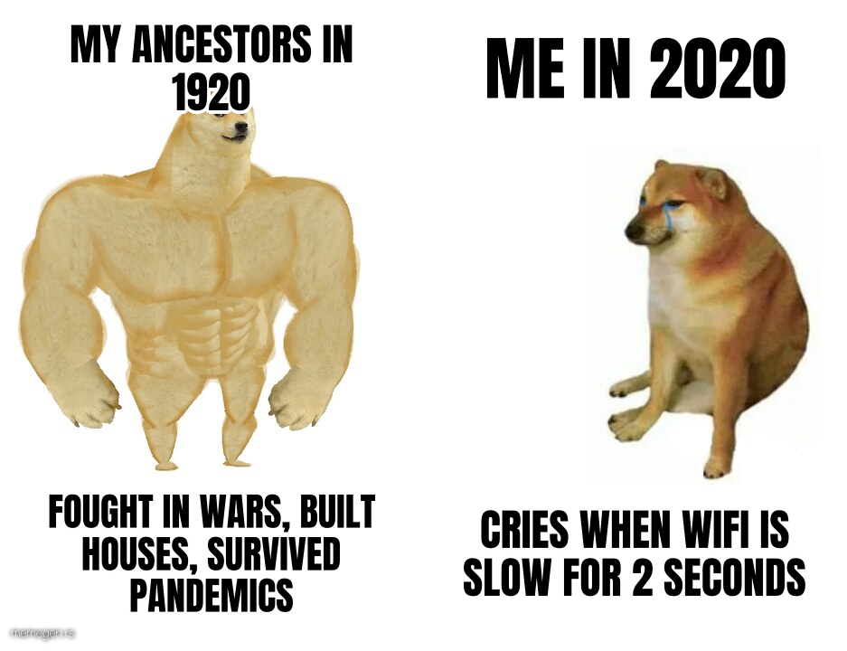 Buff Doge vs. Cheems preview