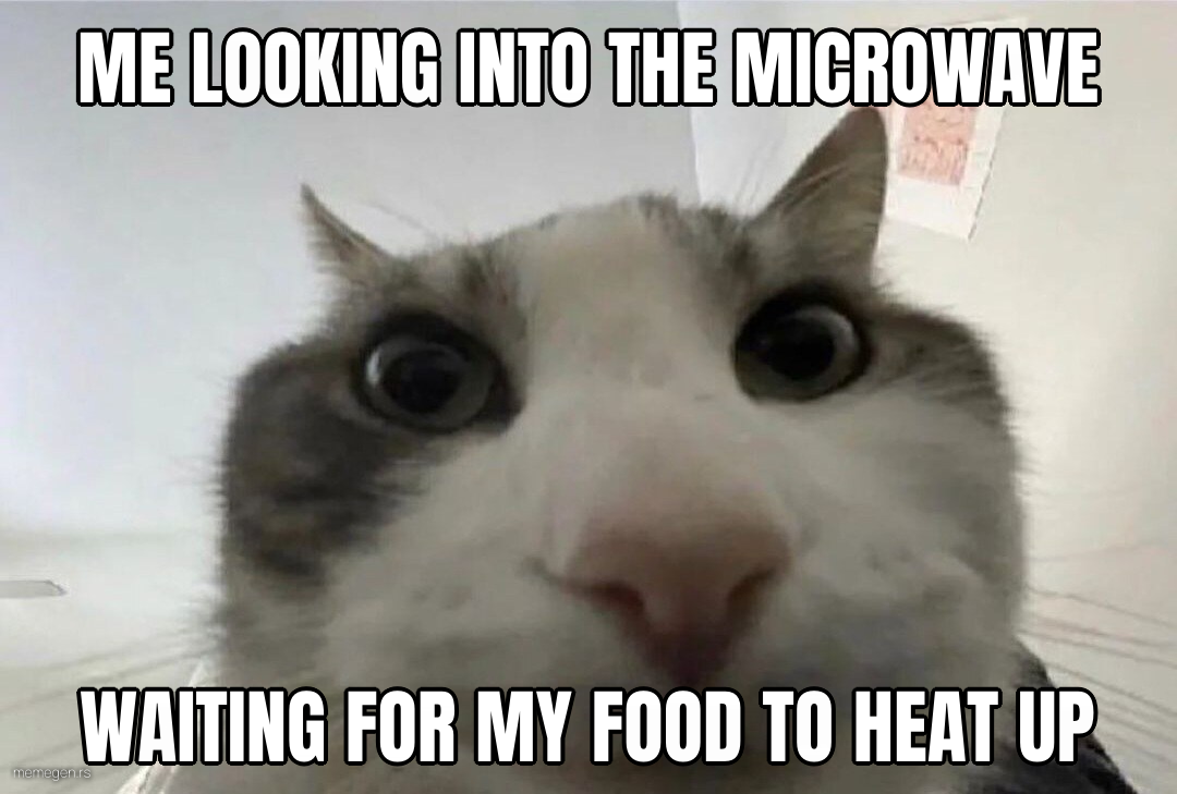 Cat looks inside preview