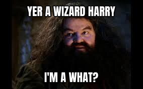 Hagrid Yer a Wizard preview