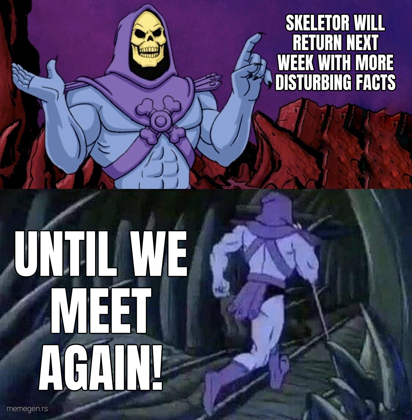 Skeletor Facts preview