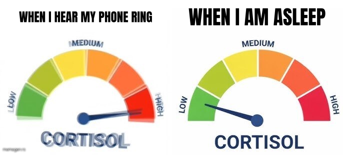 High vs Low Cortisol preview