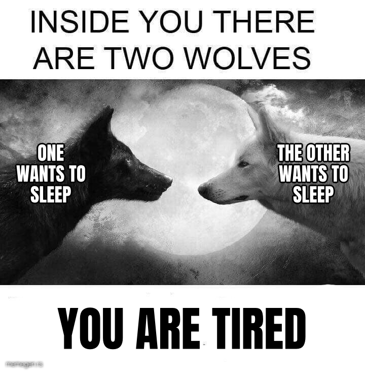 Inside you there are two wolves preview