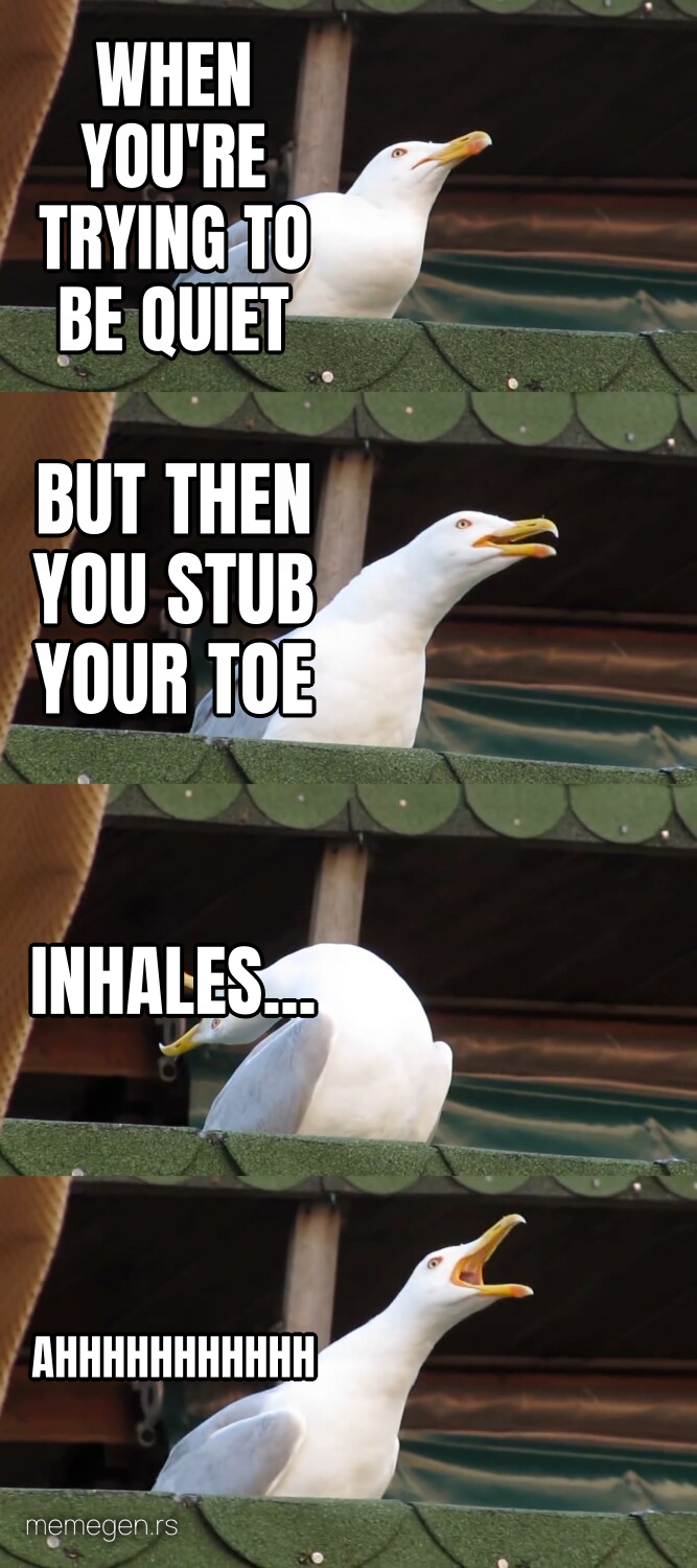 Screaming Seagull preview