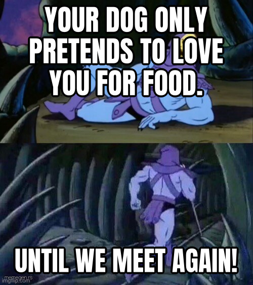 Skeletor Disturbing Facts preview
