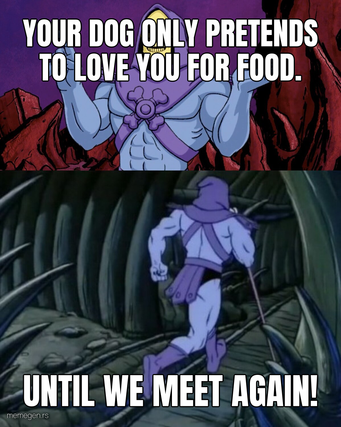 Skeletor Until We Meet Again preview