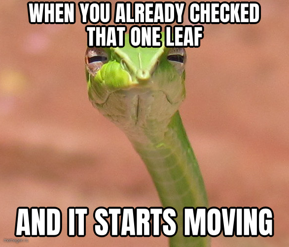 Skeptical Snake preview