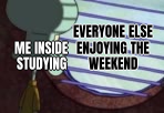 Squidward Window preview