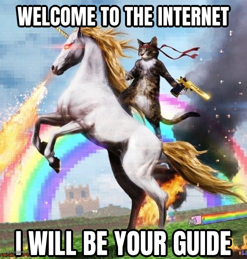 Welcome To The Internets preview