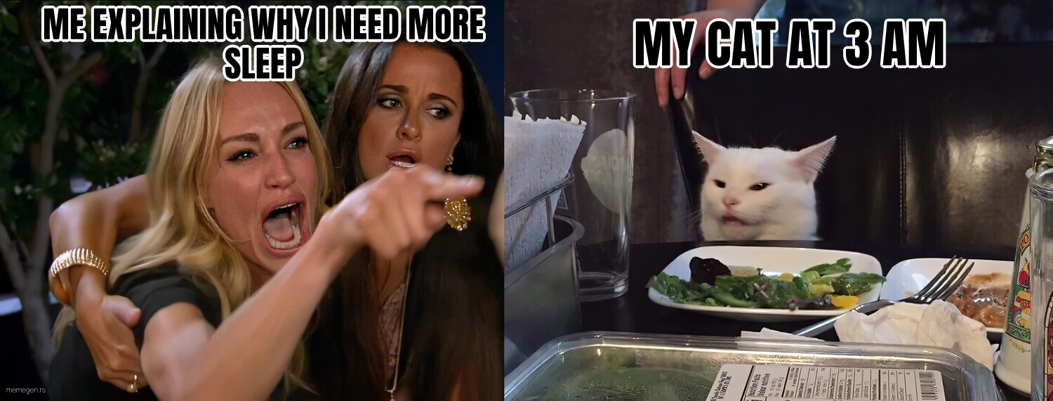 Woman Yelling At Cat preview