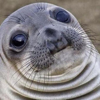 Awkward Moment Seal
