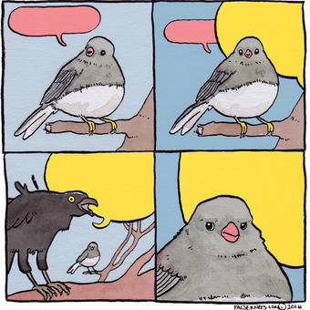 Annoyed Bird