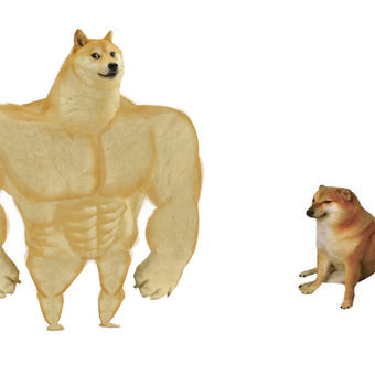 Big dog small dog