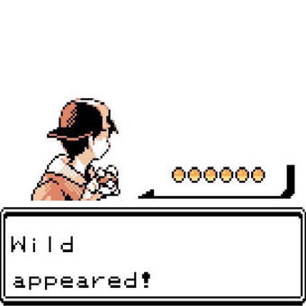 Blank Wild Pokemon Appears