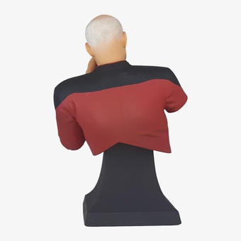 Captain Picard Facepalm