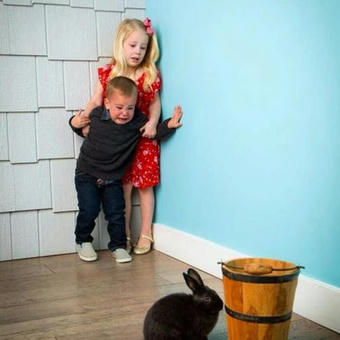 Children scared of rabbit