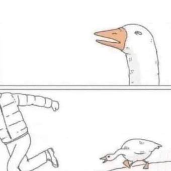 Goose Chase