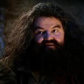 Hagrid Yer a Wizard