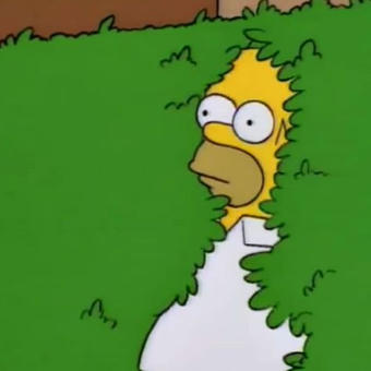 Homer Disappears