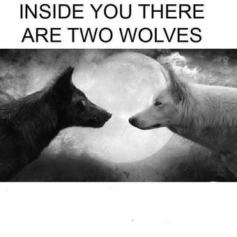 Inside you there are two wolves