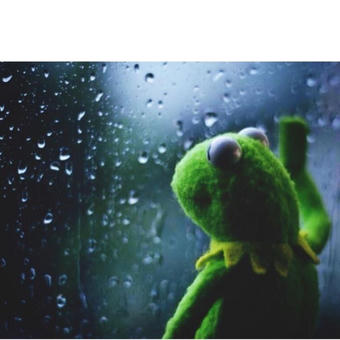 Kermit Window