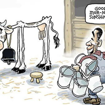 Milking the Cow