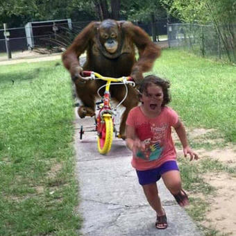 Run!