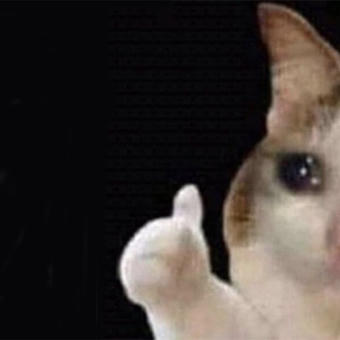 Sad Thumbs Up Cat
