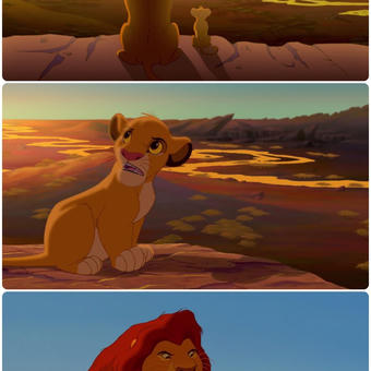 Simba Shadowy Place