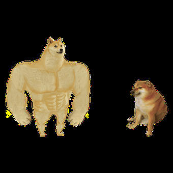 Strong dog vs weak dog