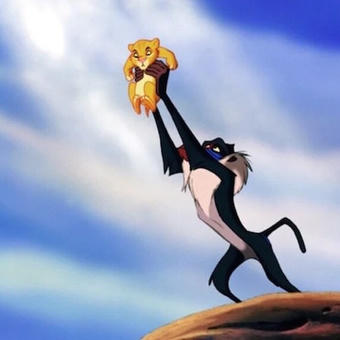 The Circle of Life