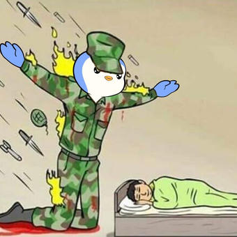 The Silent Protector