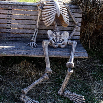 Waiting Skeleton