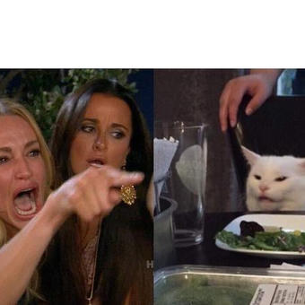 Woman Yelling at a Cat